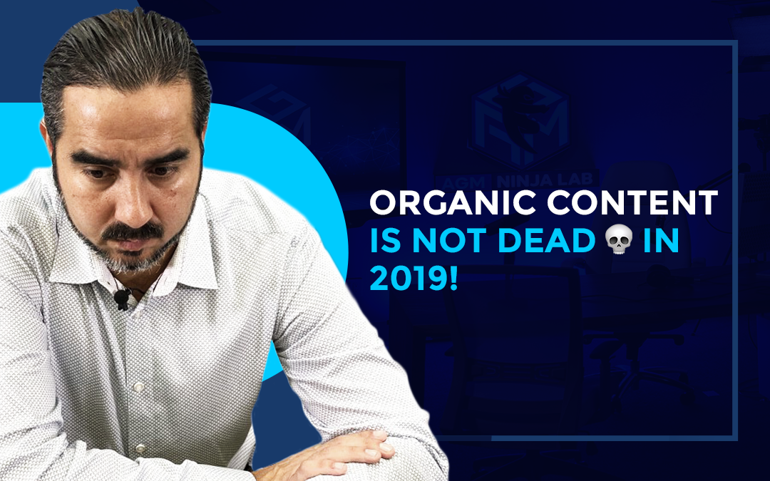Organic Content is NOT Dead 💀 in 2019!.