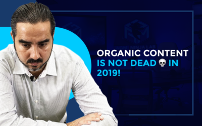 EL CONTENIDO ORGÁNICO NO ESTÁ MUERTO 💀 EN EL 2019!.