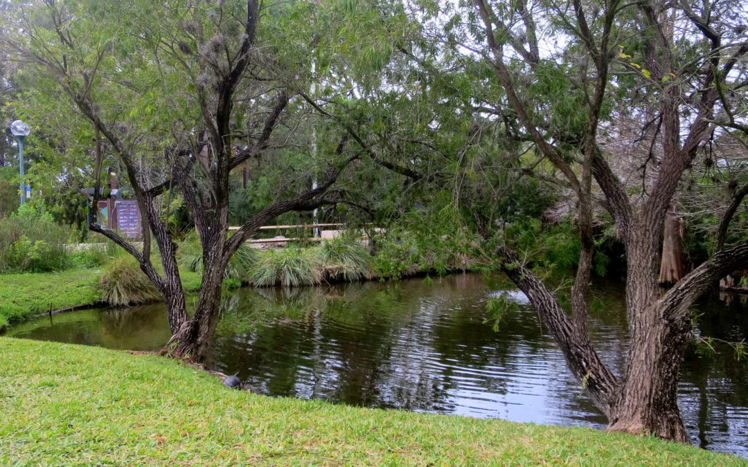 Reconnecting with Nature at Eagle Lake Park, Florida